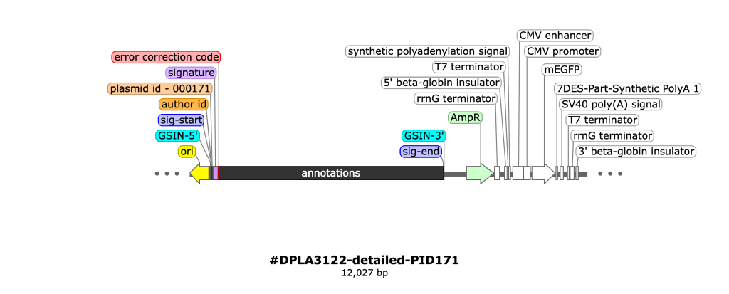 Plasmid map of a GSIN certified plasmid